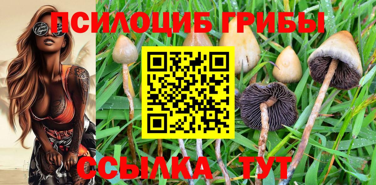 Псилоцибиновые грибы ЛСД Тула