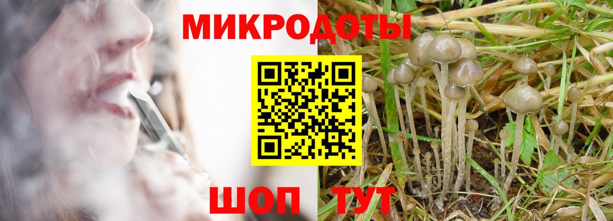 Тула  наркошоп  Вход с VPN  Псилоцибиновые грибы MAGIC MUSHROOMS  Галлюциногенные грибы прущие грибы 