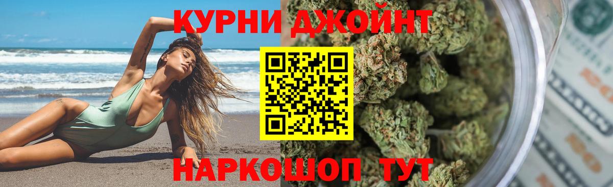Бошки Шишки планчик Тула